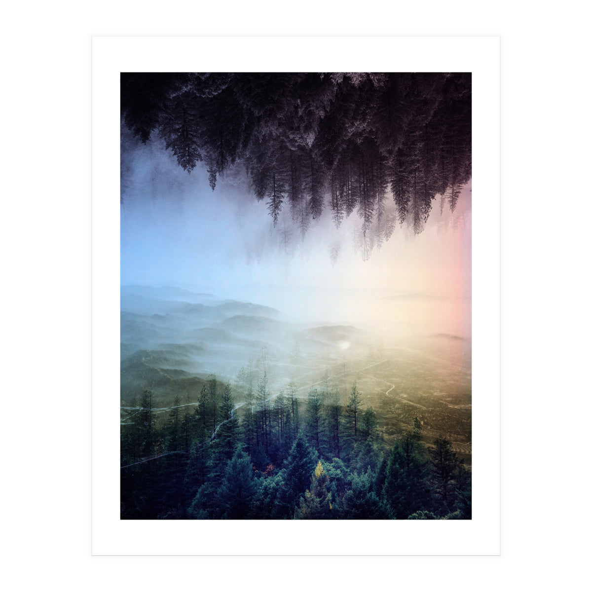 Magic Woods (Print Only)