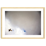 The Little Prince thumbnail