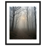 Ethereal Morning Light Breaking Through Dense Forest Fog thumbnail