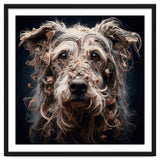 Old Dog 09 thumbnail