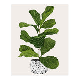 Fiddle Leaf Fig Tree Plant (Print Only) thumbnail