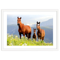 Three Horses