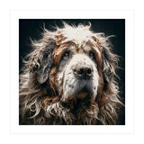Old Dog 01 (Print Only) thumbnail