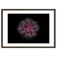 Backyard Flowers No 116 Color Flow Version