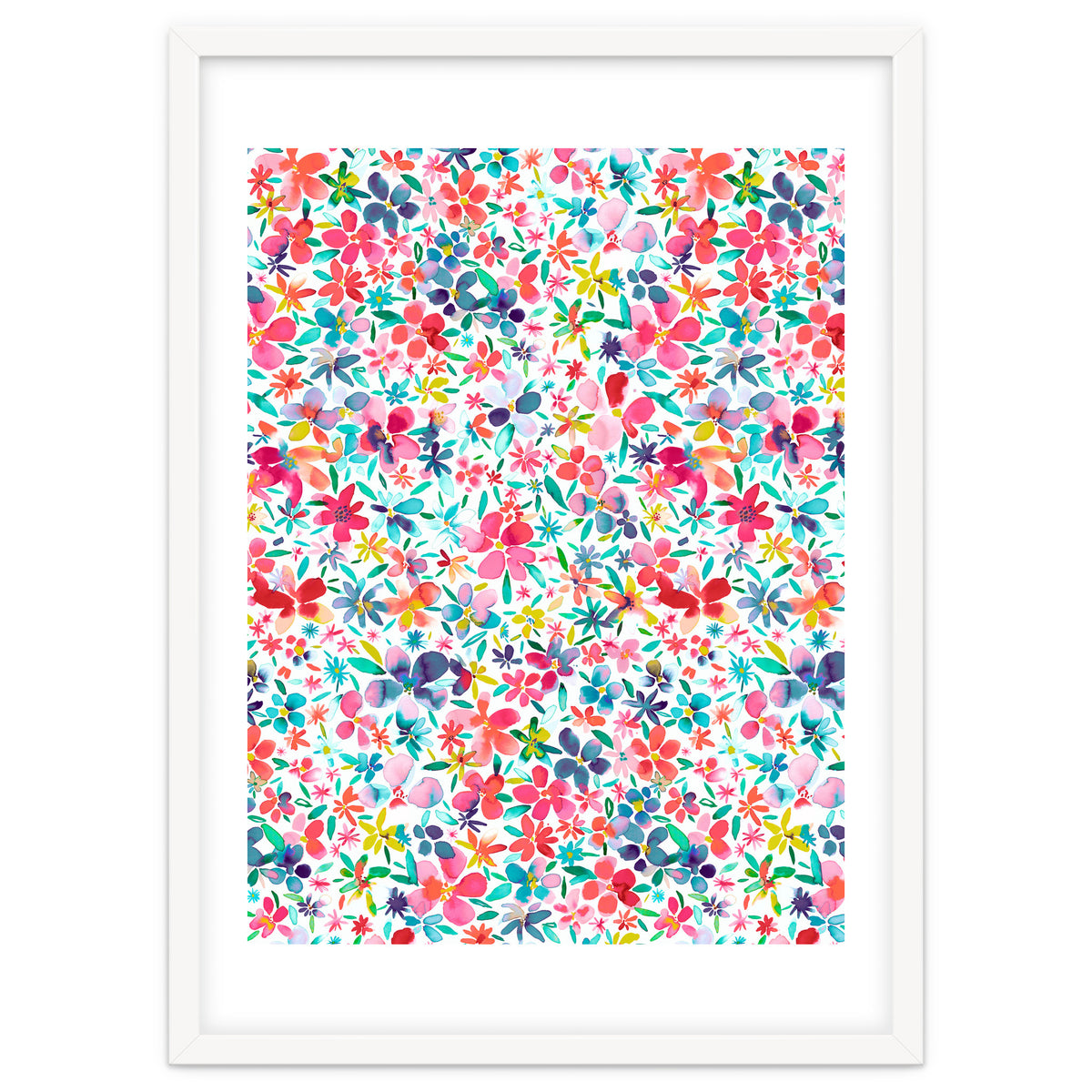 Colorful Flower Petals