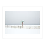 Fake palm tree in the winter snow beach (Print Only) thumbnail