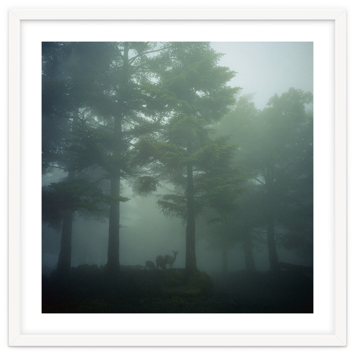 Silence of breath - 10