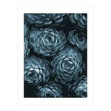 Succulent Plant Blue Ii (Print Only) thumbnail