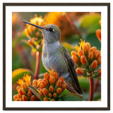 Hummingbird Perched On Orange Flowers thumbnail