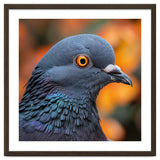 Close Up Of A Pigeon's Head And Neck thumbnail