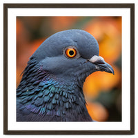 Close Up Of A Pigeon's Head And Neck