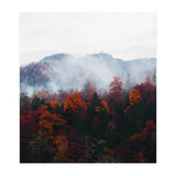 Fog (Print Only) thumbnail