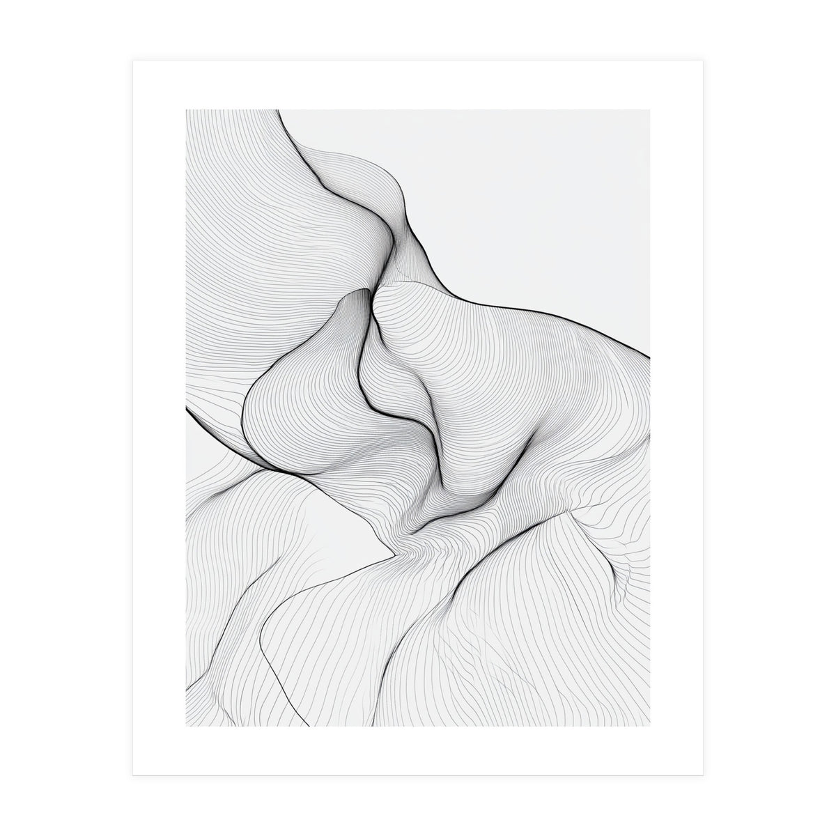 Abstract Black And White Flowing Lines Organic Form (Print Only)
