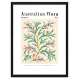Australian Flora: Wax Flower thumbnail