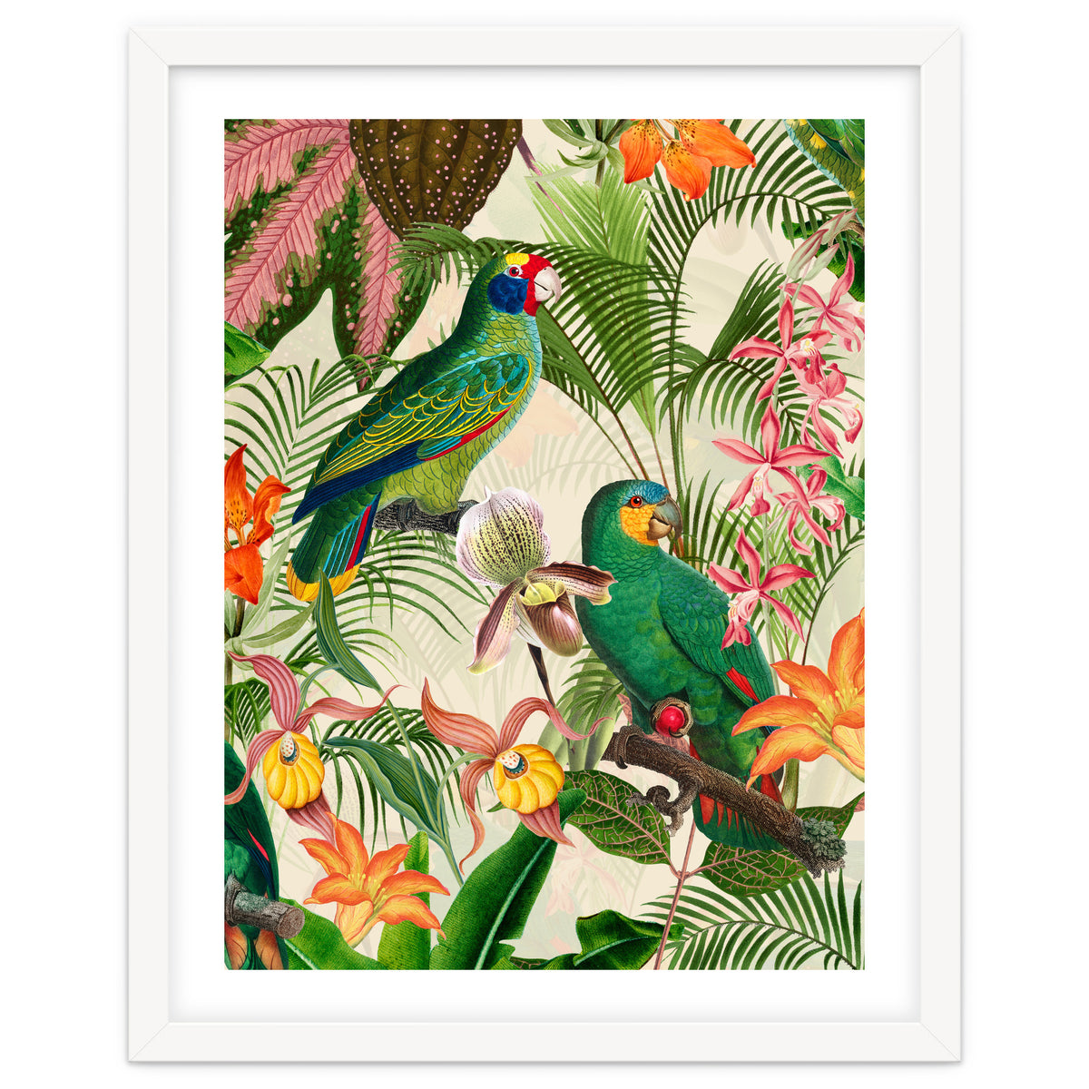 Parrots in tropical Jungle