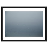 Flying Segulls in thet winter sky thumbnail