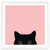 Black cat thumbnail