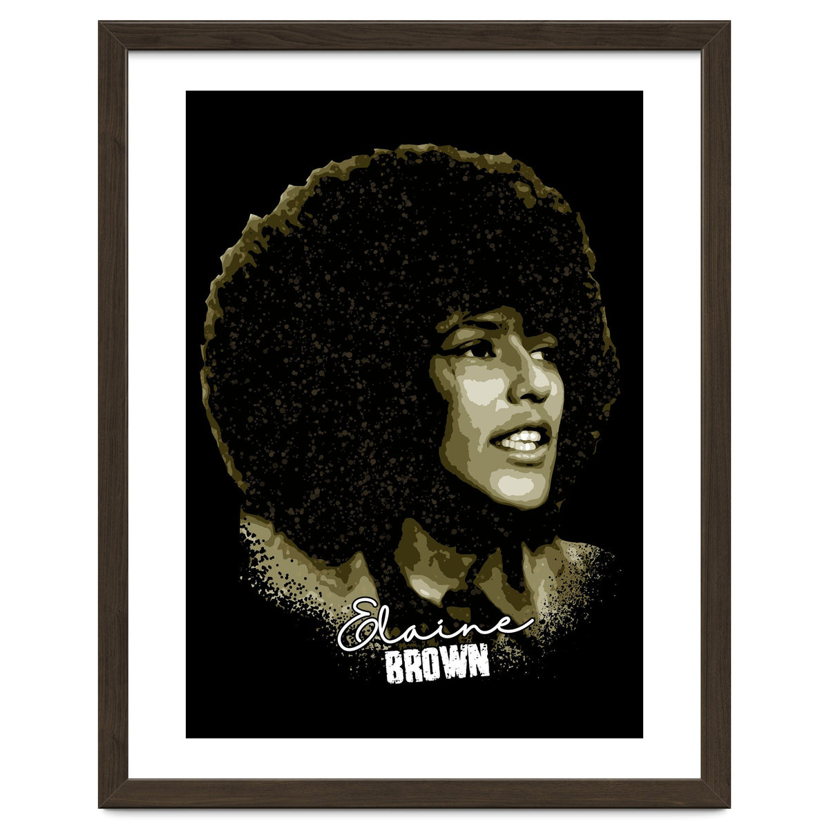 Vintage Elaine Brown American Prison Activist