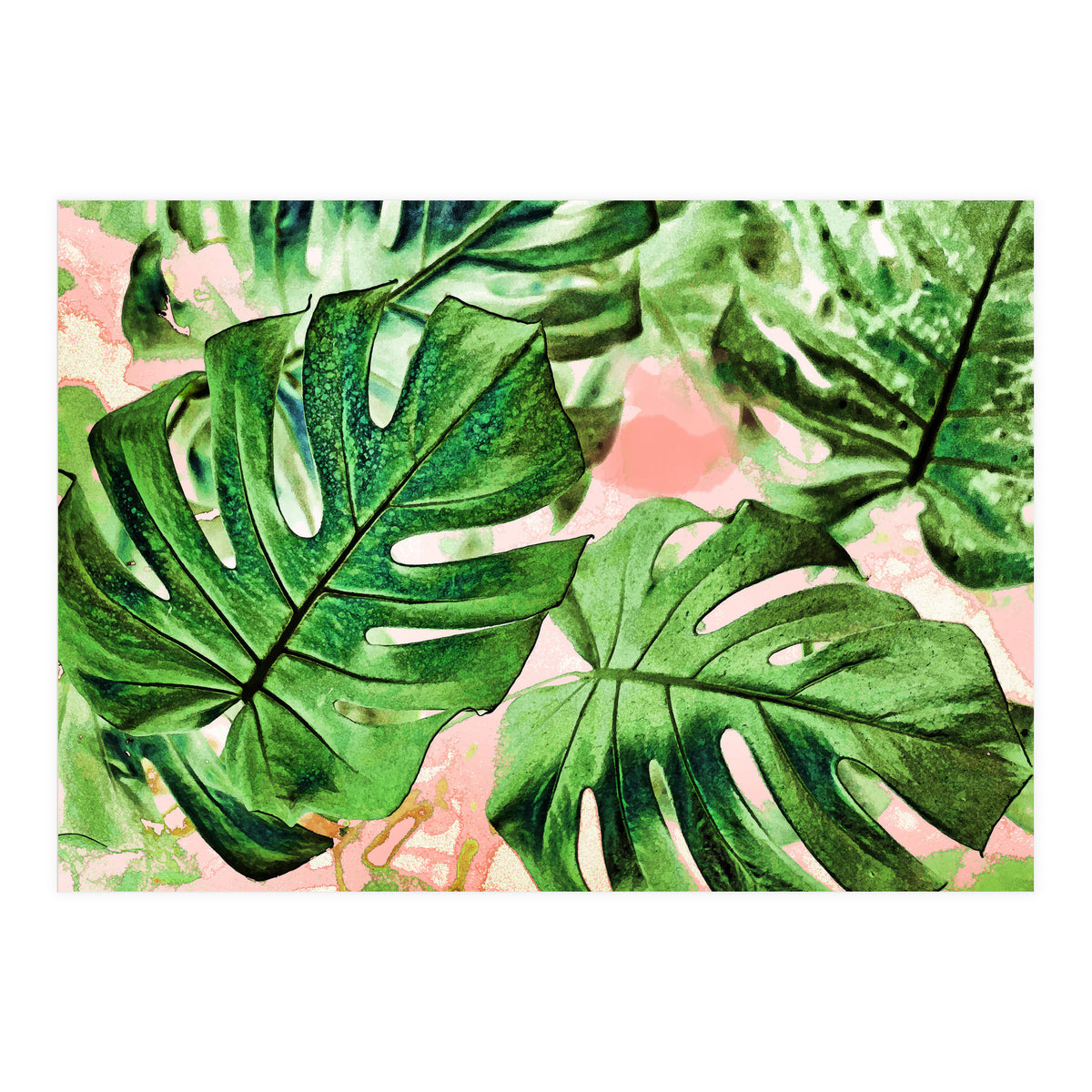 Monstera Beauty #society6 #decor #buyart (Print Only)