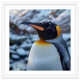 King Penguin In The Snow With Frosty Head thumbnail