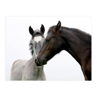 Two Horses (Print Only)