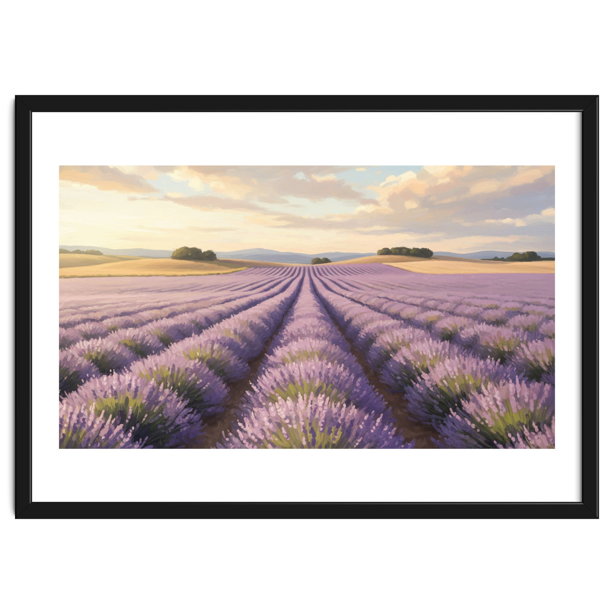Provençal Sunset: Lavender Field Landscape