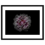 Backyard Flowers No 118 Color Version thumbnail