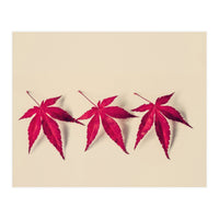 Dancing Leaves (Print Only)