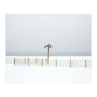 Fake palm tree in the winter snow beach (Print Only)