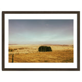 Dartmoor 2018 thumbnail