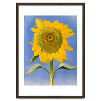 Georgia O’Keeffe – Sunflower, New Mexico (1935) | Bold Modernist Floral Painting Inspired by the American Southwest