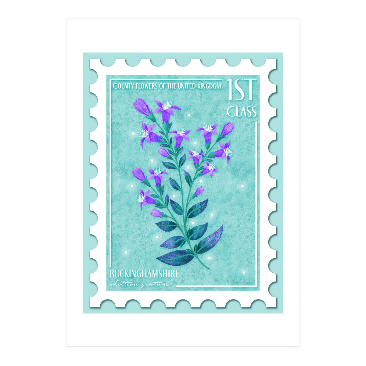The Buckinghamshire Chiltern Gentian Postage Stamp (Print Only)