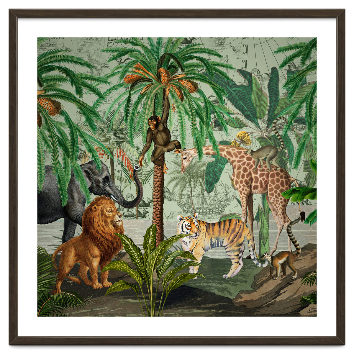 Vintage African Adventure