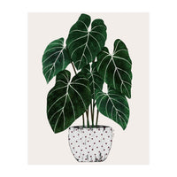 Philodendron Plant (Print Only)