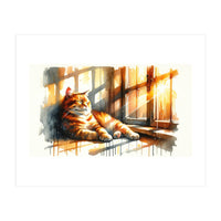 Cat Relaxing In Sunlight (Print Only)