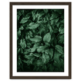New Foliage Green Ii thumbnail