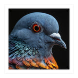 Close Up Of A Pigeon Bird (Print Only) thumbnail