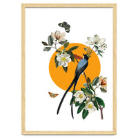 collage floral birds