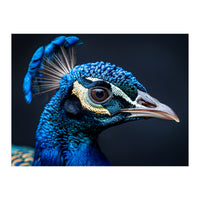 Close Up Of A Peacock Head Blue Feather (Print Only)