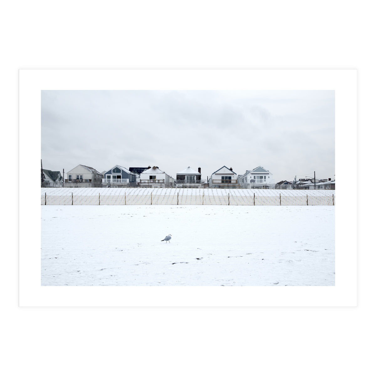 A seagull and snow covered houses (Print Only)