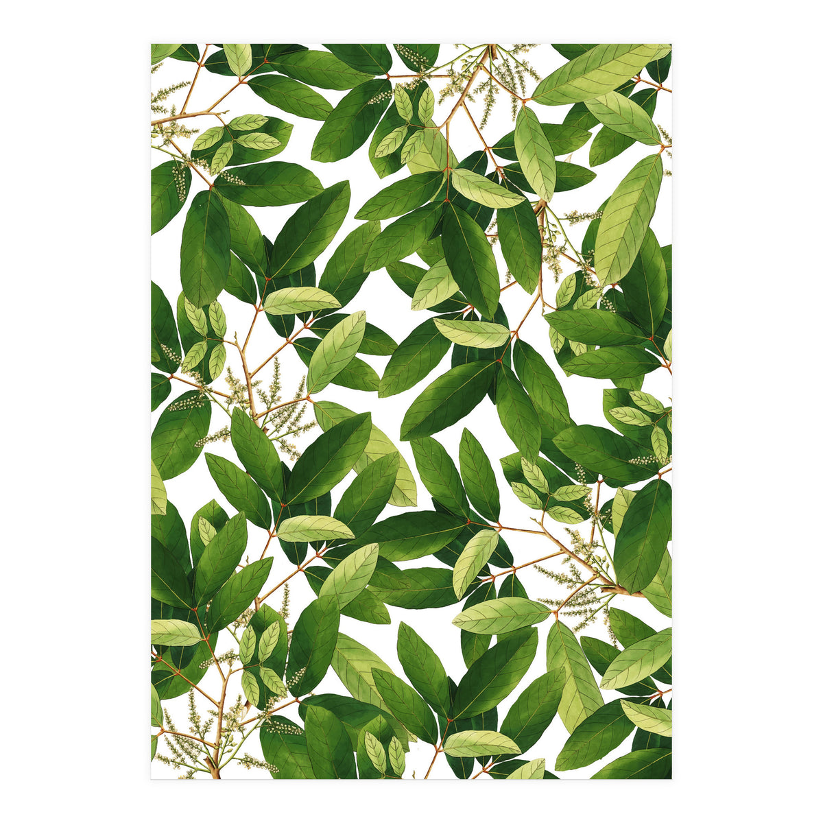 Greenery #society6 #decor #buyart (Print Only)