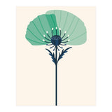 Teal Half Poppy (Print Only) thumbnail