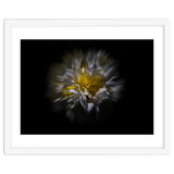 Backyard Flowers No 25 Color Flow Version thumbnail