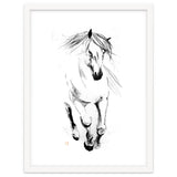 Runninh Ghorse In Water thumbnail