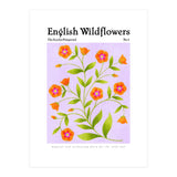 English Wildflowers | Scarlet Pimpernel  (Print Only) thumbnail