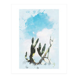 Cactus & Sky (Print Only) thumbnail