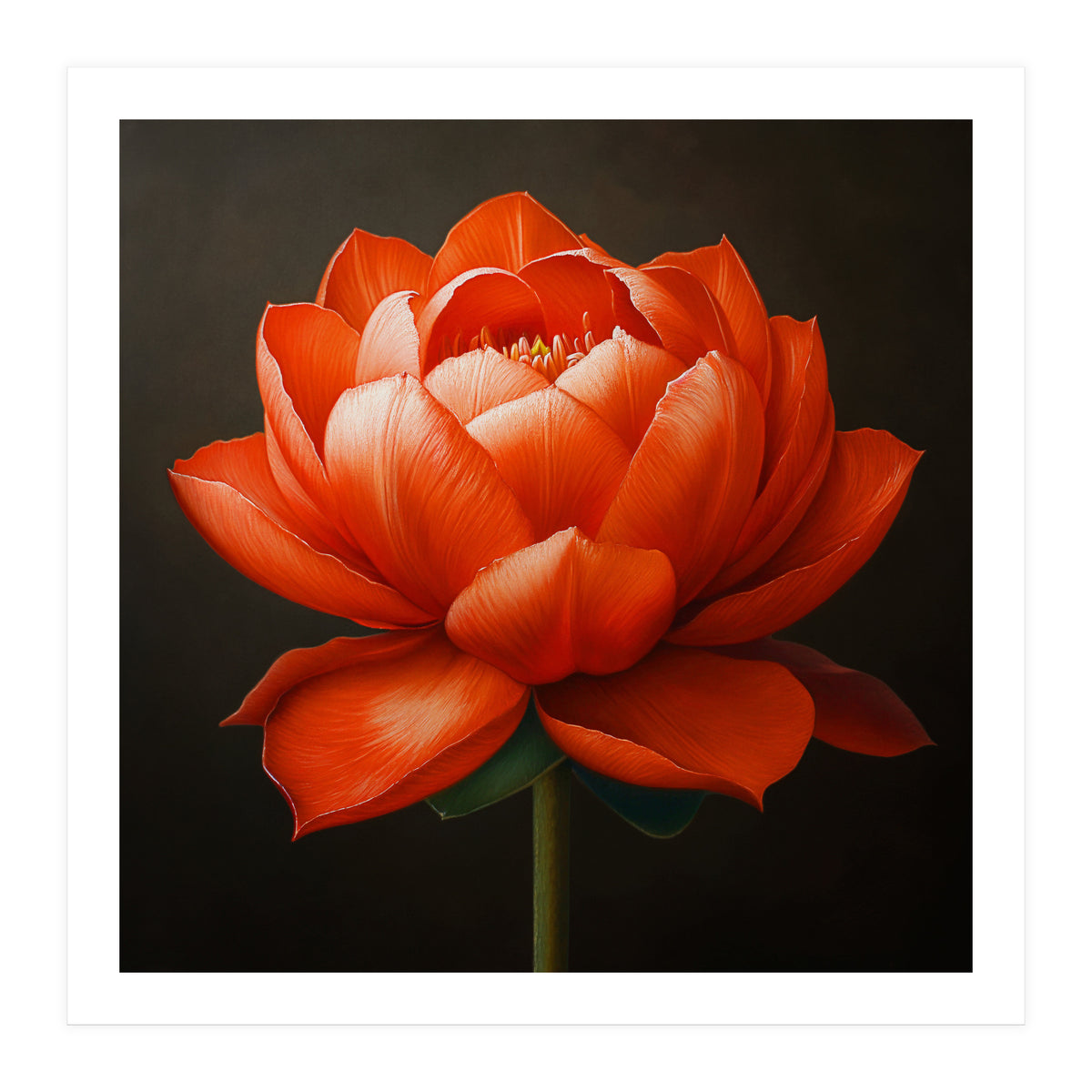 Double Lotus | Scarlet Solace (Print Only)