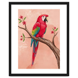 Red Macaw Parrot Bird Forest thumbnail