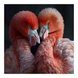Two Flamingos Together Showing Affection (Print Only) thumbnail