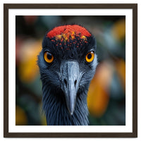 Close Up Of A Strikingly Beautiful Bird Face